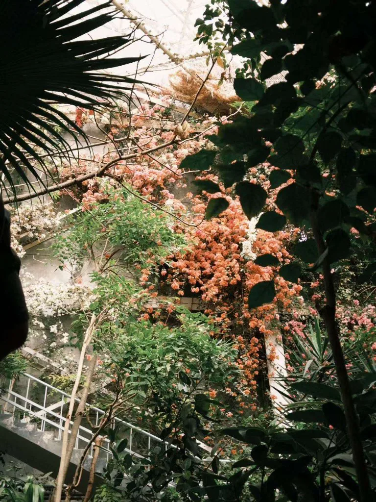 Greenhouse location
